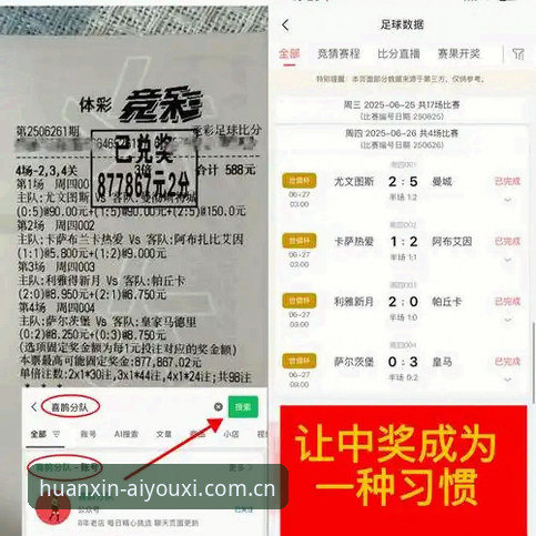 爱游戏NZS8数据分析教程——从奥格贝德转会看意甲中锋选择