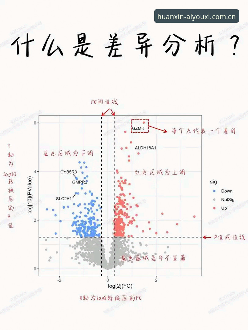 数据反差隐藏在微观差异中